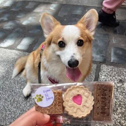 post dog friendly days out in greenwich market 02